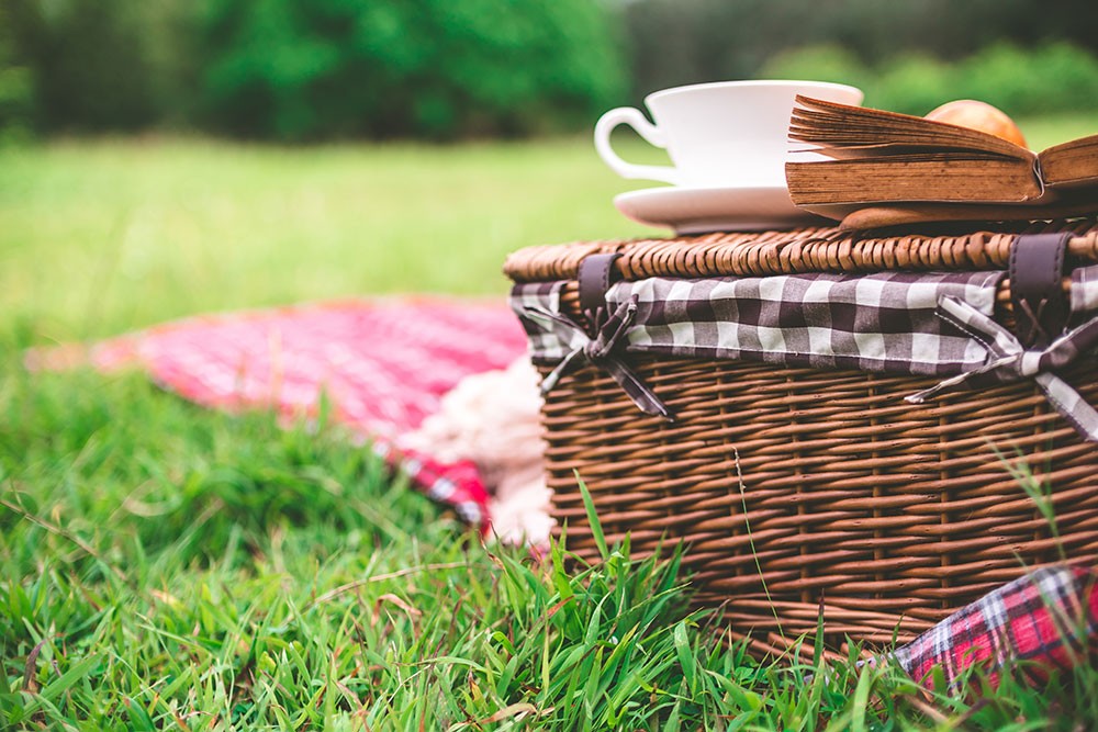 Freizeittipp: Picknick